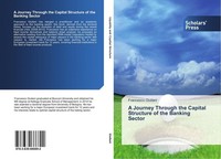 A Journey Through The Capital Structure Of The Banking Sector Francesco Giuliani