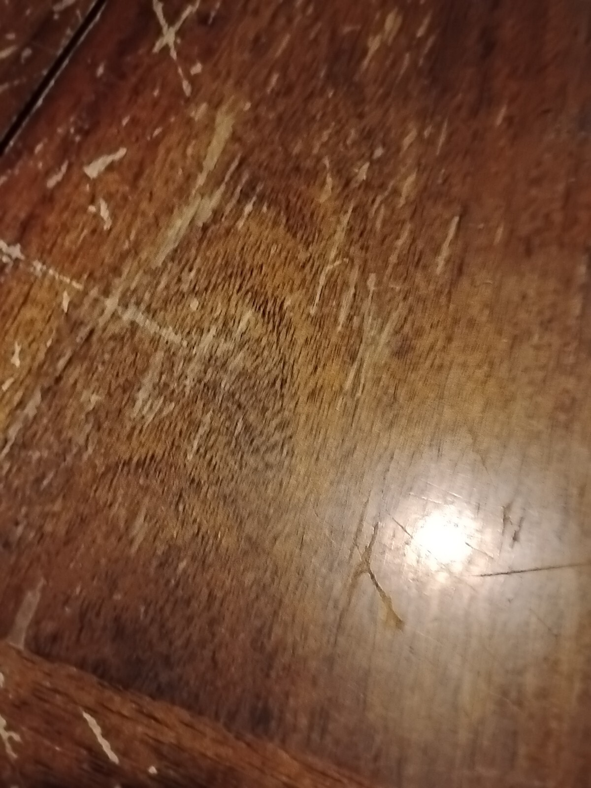 Picture 5 of 5