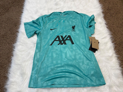 Nike Liverpool F.C. Academy Pre-Match Green Size Medium Soccer Jersey FN9653-303