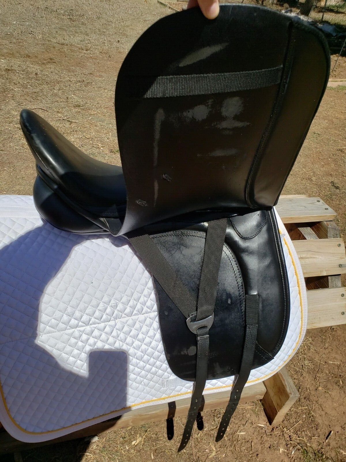 19" Dressage Saddle, Authentic Thornhill Germania Klasse, EXCELLENT