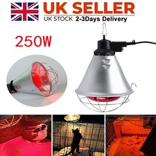 250W Infrared Heat Lamp