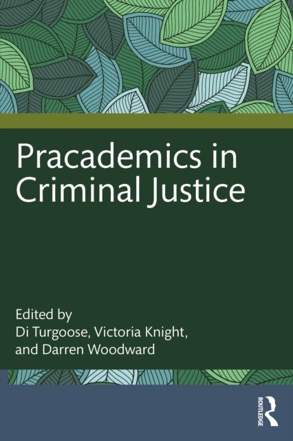 Pracademics in Criminal Justice - Image 4