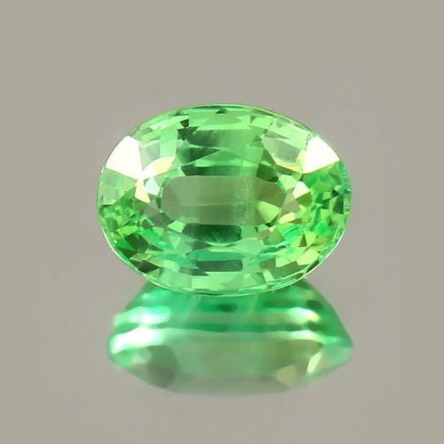 8.78 Ct Natural Oval Cut Peridot AAA Grade Green Certifed Loose Gemstone - Picture 3 of 4