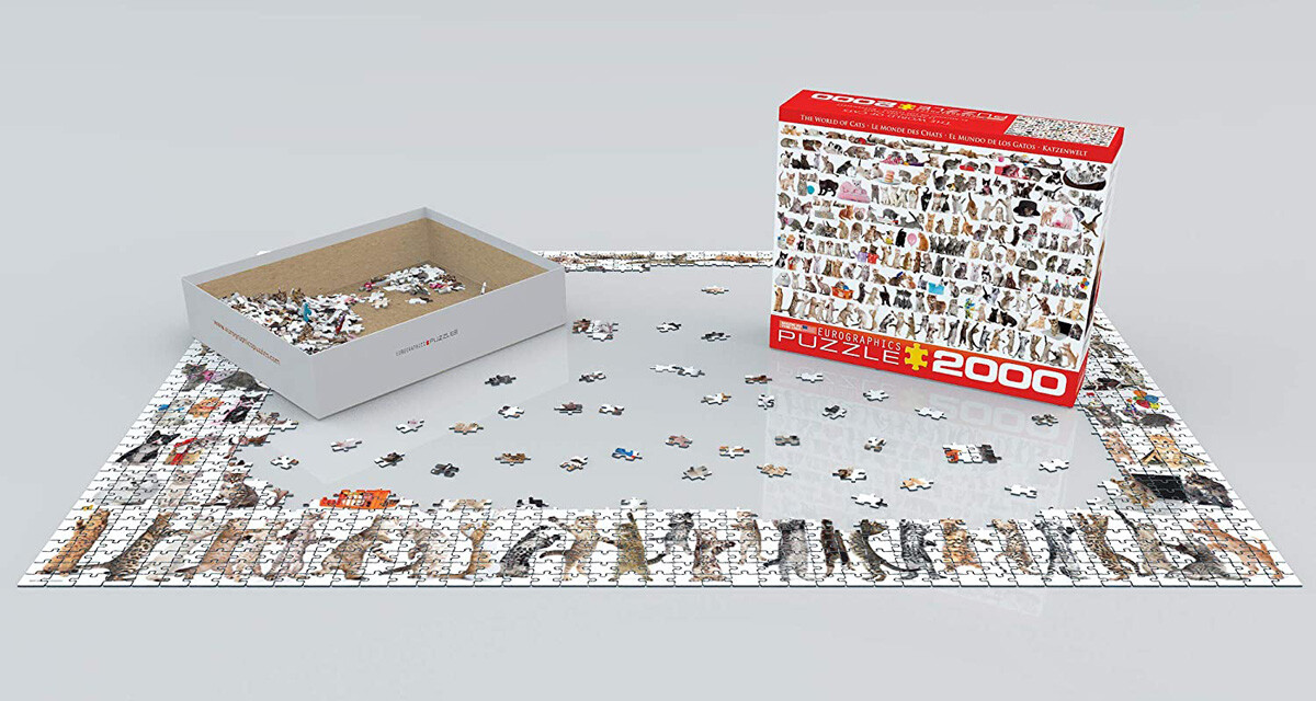 HANSEPUZZLE Katzen-Puzzle 2000 Teile – Tierwelt Motiv, Format 90x60 Cm, Mit Aufbewahrungsbeutel, Für Erwachsene Und Fortgeschrittene Puzzler