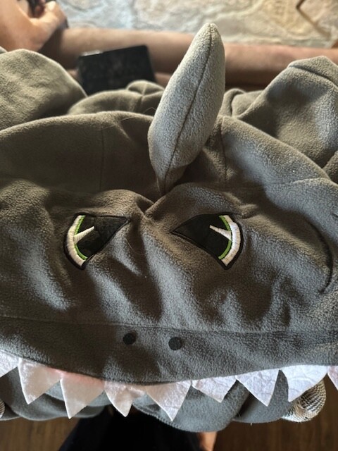 Picture 2 of 10