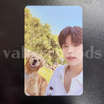 straykids STAY IN STAY IN JEJU スンミン トレカ Stray Kids】Seungmin Stay in Stay in JEJU JYP Shop Official Photo