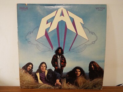 FAT LP VINYL ALBUM | eBay