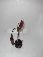 Nymphaea lotus - Roter Tigerlotus - Knolle Aquarium Wasserpflanze Seerose