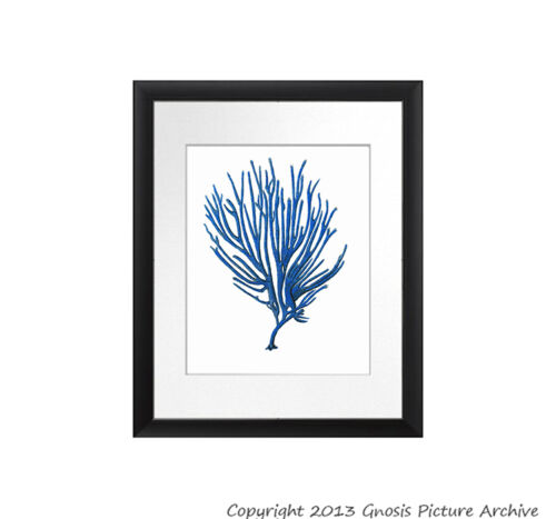 Wall Art beach decor Set of 4 Blue Sea Coral prints nautical decor Unframed Art - Picture 5 of 5