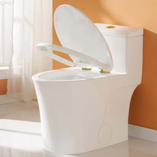 ADA Height One-Piece Toilet | Elongated, Dual Flush, Comfort Seat, Gold Button