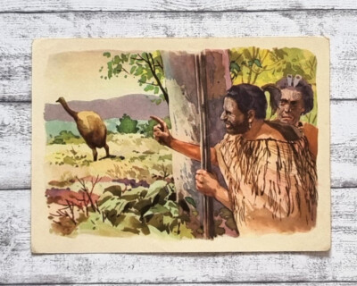 Eingeborene Moa Jagd Riesenvogel Sanella Bild 93 Sammelwerk Australien Werbung