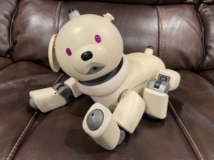 Aibo Robot Dog Sony | eBay