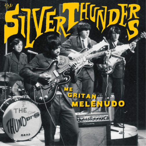 The Silver Thunders Me Gritan Melenudo (Vinyl LP) 12" Album