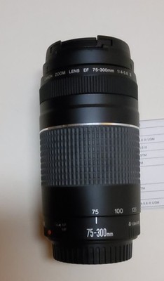 Foto CANON EF Objektiv EF75-300 mm f/4-5.6