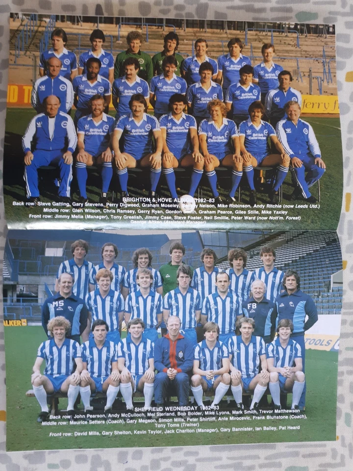 Brighton & Hove Albion v Sheffield Wednesday - 1983 FA Cup Semi-Final Programme - Image 3 of 3