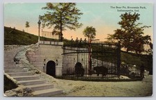Indianapolis IN Indiana Riverside Park Bear Pit Vintage Postcard