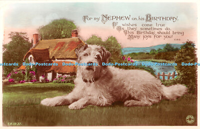 R321374 Für meinen Neffen zum Geburtstag Haus Hund Fluss Drehfoto