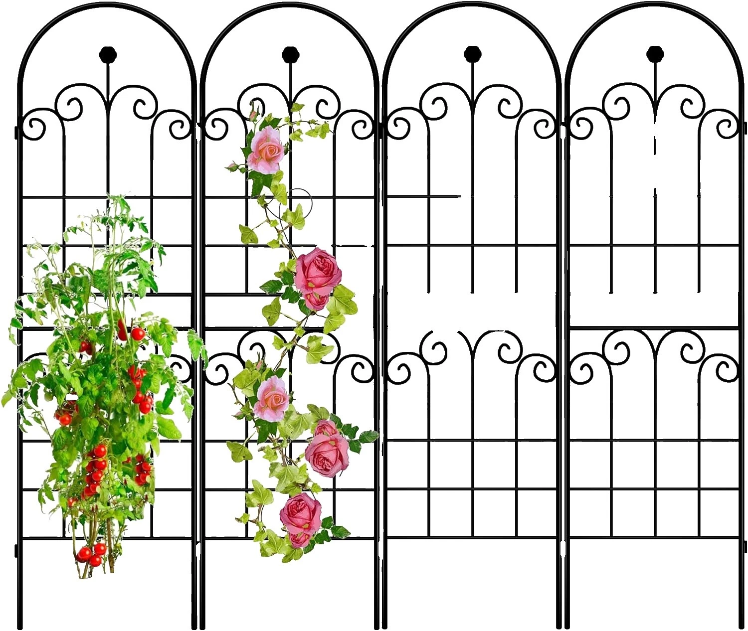 Enrejados de Jardín de Hierro