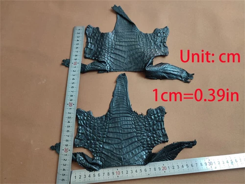 Real Crocodile Skin Hide Alligator Leather Exotic Pelt Craft DIY Material Strap - Picture 7 of 17