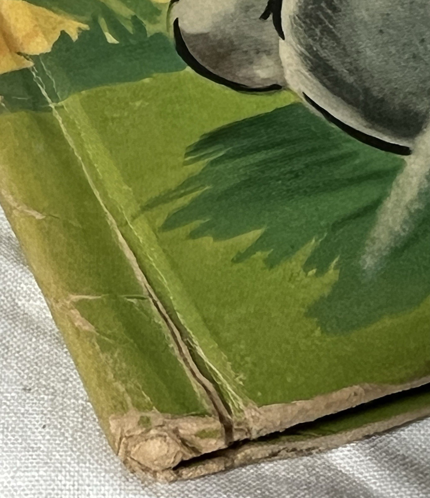 Picture 3 of 14