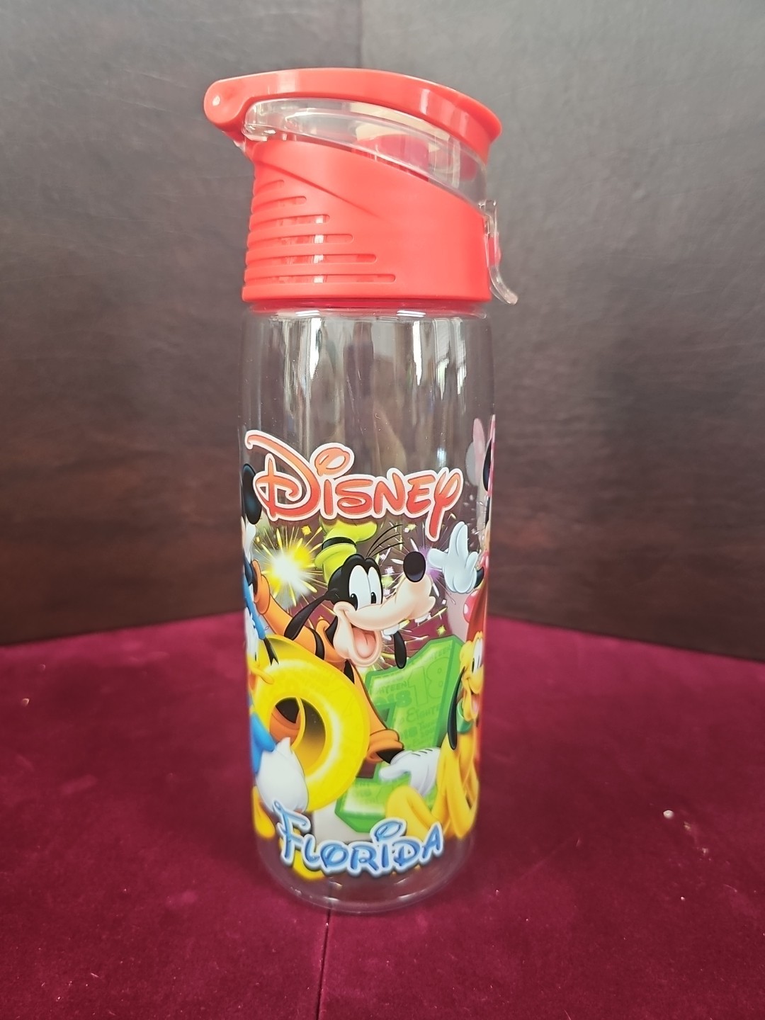 Disney Characters 2018 Water Bottle 9"