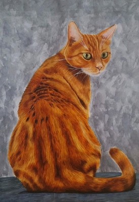 Original Aquarell Gemälde ''Ingwer Katze'' 23'' x 32,25'' von Colin Coles