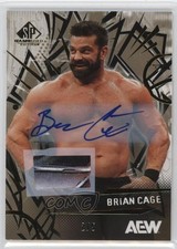 2025 SP Game Used AEW Auto Premium Memorabilia 2/5 Brian Cage #54 Auto g1m