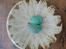 Beautiful rare color sea glass 2pcs, surf tumbled, weathered, beach glass, 43
