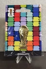 FIFA  2026 World Cup 2D Trophy Lapel Pin Official Licensed