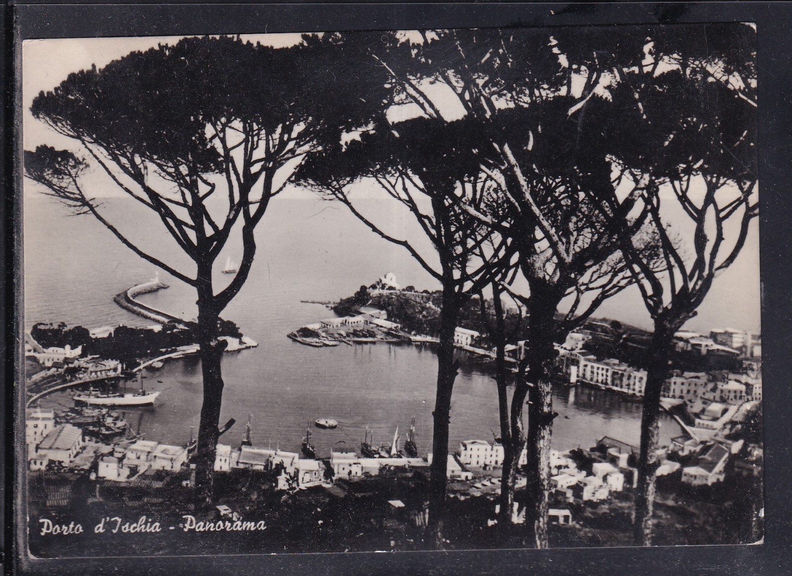 Cartolina Porto D'Ischia Panorama Q1414