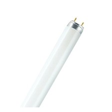 PHILIPS - L 58W/840 4050300517957 OSRAM FL LUMILUX T8, TUBE, cap G13 COOL WHITE