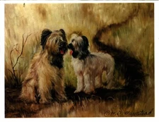 New Briard Pet Dog Notecard Set 12 Blank Note Cards - 2 Briards By Ruth Maystead