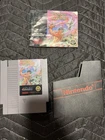 Wizards & Warriors Nintendo Game Authentic NES Cartridge Manual And Dust Cover