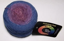 4oz Done Roving FROLICKING FEET GRADIENT DK HandPainted Merino Yarn #4 WILD BLUE