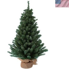 Eco-Friendly 12-Inch Miniature Christmas Tree - Perfect for Personalization