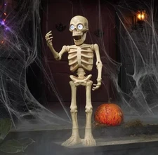 3 ft. Halloween Classics Animated LED Dancing Skeleton