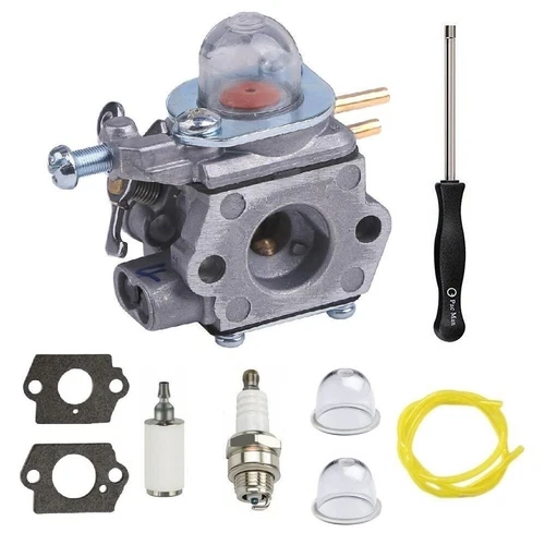 Carburetor For Craftsman WS2200 WC2200 WS210 WC210 P210 41AD25SC793 25CC 27CC