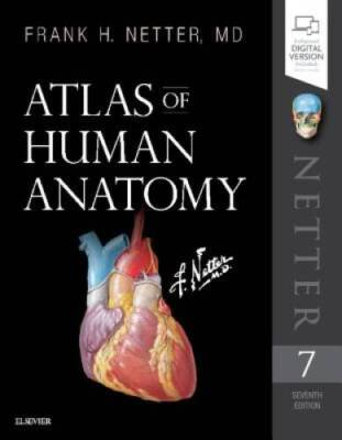 #ad Atlas of Human Anatomy 7e Netter Basic Science Paperback GOOD $19.06