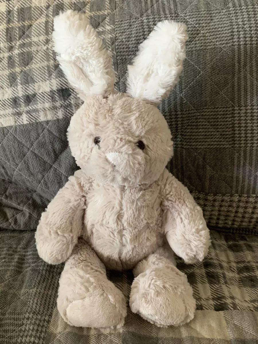 Pottery Barn Kids Bunny Snuggle Baby Gift Set