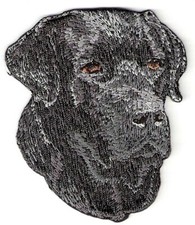 Black Labrador Dog Breed Embroidery Patch