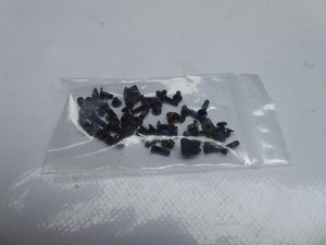 Lenovo ThinkPad Edge E335 Schraubensatz Screws Set #4087