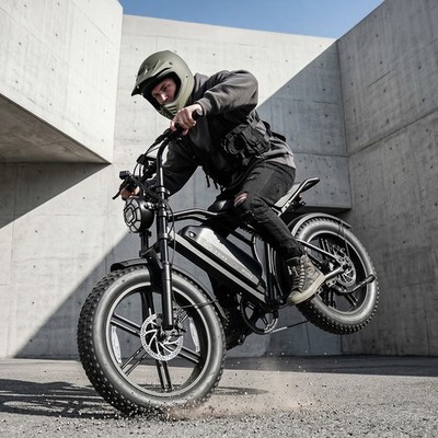 TST ebike 20'' Fat Tires Mountain Electric Bicycle Adults 1500W Peak 48V 32MPH  