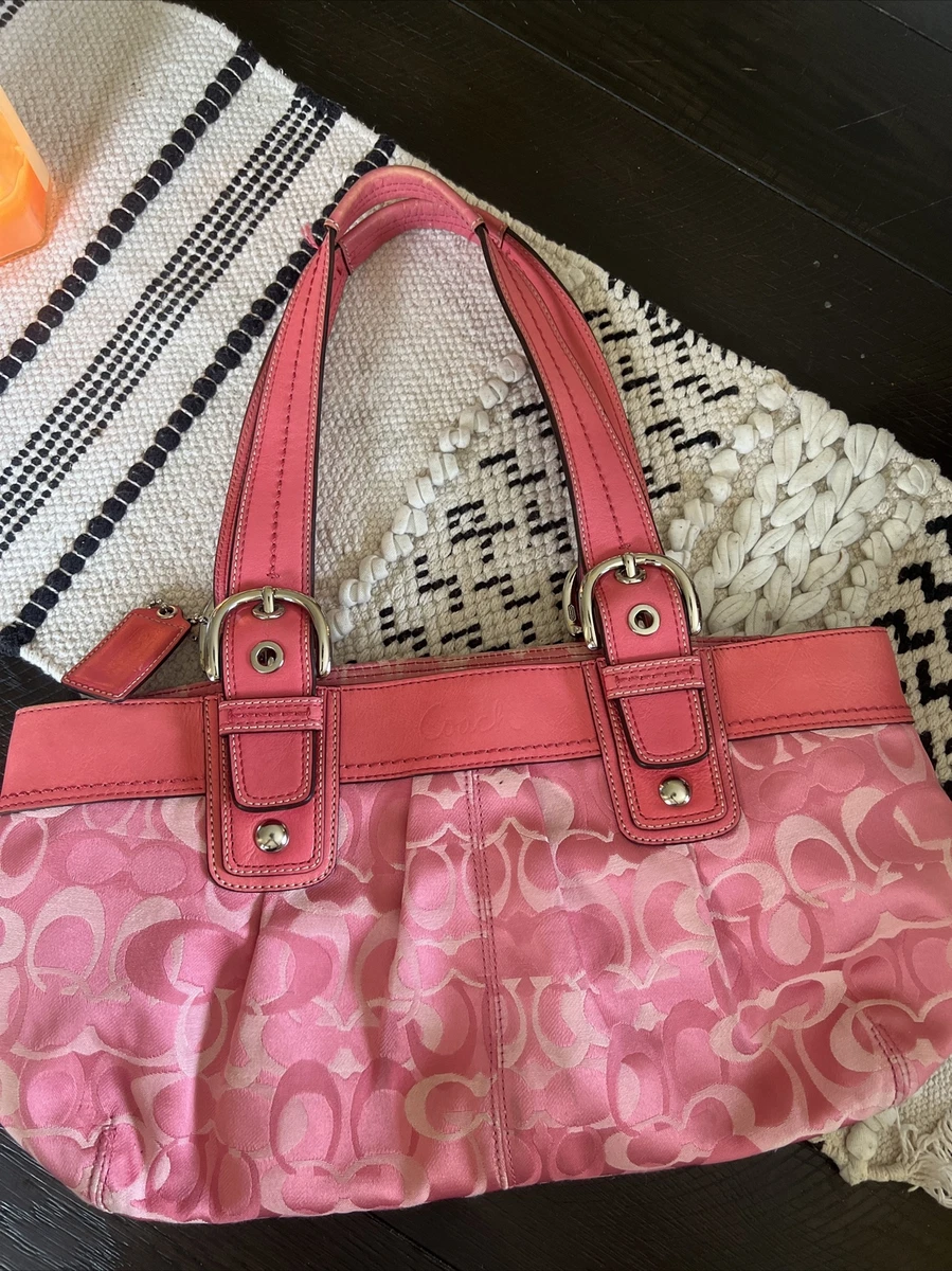 Top more than 118 coach leather bag cleaner best kidsdream.edu.vn