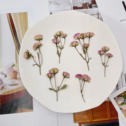 Dried Pressed Flowers Natural Epoxy Resin Candle Nail Art Scrapbooking Craft AU - Picture 123 of 210