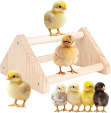Chicken Roosting Perch - Chicken Coop Accessories & Supplies for Chicks - Nat...