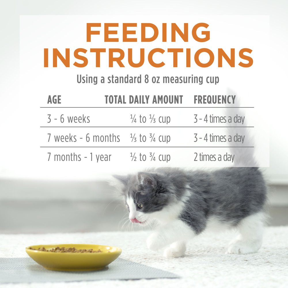 Kitten Chow Chicken Dry Cat Food for Kittens, 6.3 Lb Bag