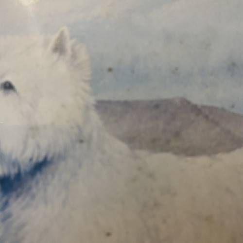 West Highland Terrier Westie gerahmt signiert LE Druck von Peter Barrett Nr. 689/5000 - Bild 17 von 18