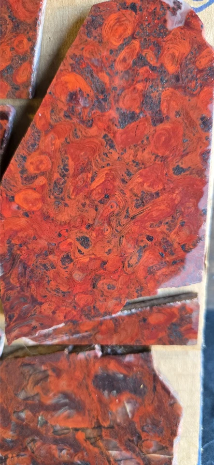 Mary Ellen Stromatolite Jaspe Rojo (2) Losas, (7) Preformas de Cabujón, Plano 90 Foto 3 de 4