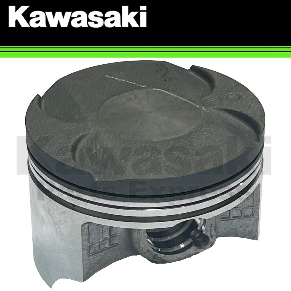 NEW 2013 - 2024 GENUINE KAWASAKI NINJA 300 / VERSYS X 300 NEW 2013 - 2024 GENUINE KAWASAKI NINJA 300 / VERSYS X 300