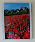 Foto 8 di 11